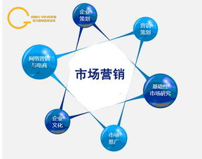 淘寶網電子商務市場營銷分析